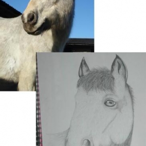 Finnley Portrait