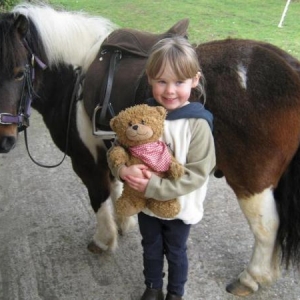 a pic for the School Bear Diary