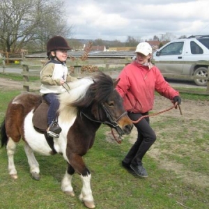 getting to grips with trot!