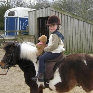 Bear has a ride.
