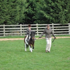 first trot and figure of 8!