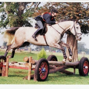 Young Josh Jumping in a one day event. 14 or 15 years ago. (Not me in the saddle!)