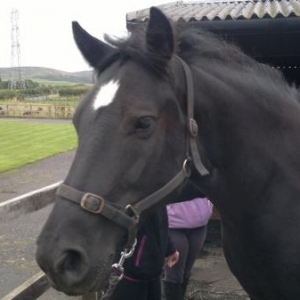Before loading. Taking it all in his stride.