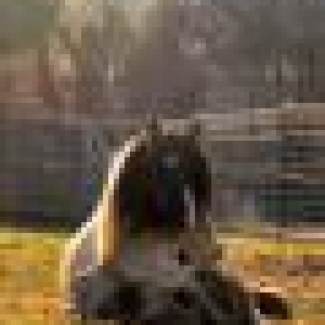 safe image