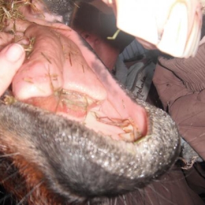 Ouch I did not want to do that