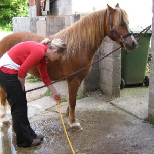 Charlie cold hosing