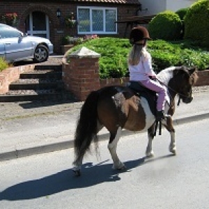 Em&Acorn 2012
