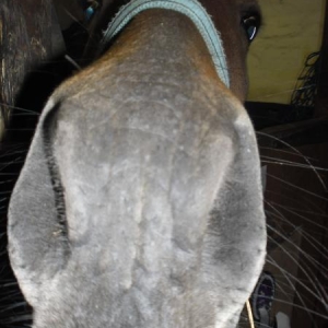 Luca giving kisses to the camera