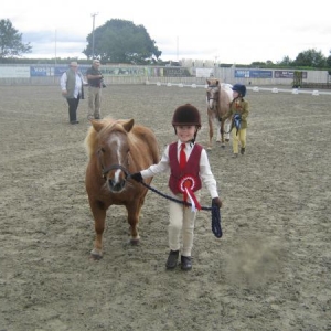 1st young handler