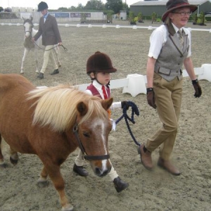 5th bonny pony