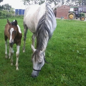 spud @bella  mum