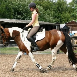 lesson pic