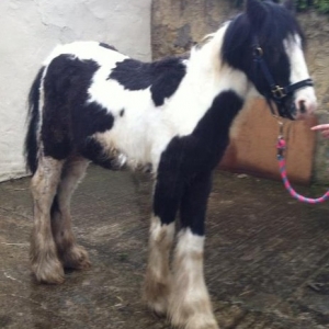 The day he arrived, May 2012
