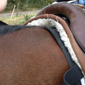 photo1