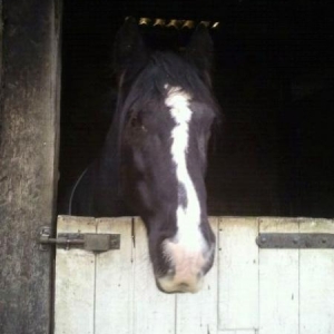 Prince- bloody scrumtious;) even if I do say so myself:)!