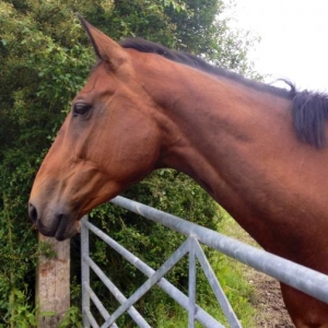 My wonderful girl...