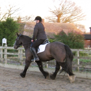 Alfie 1