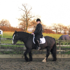 Alfie 2
