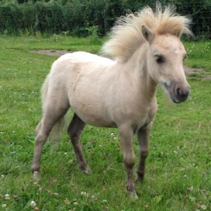 Chalky 3 months old