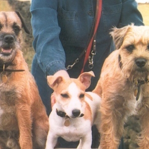 Hamish, Thistle and Joey