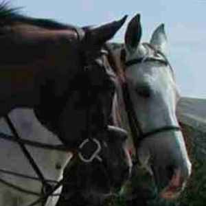 Berry and Cissie
