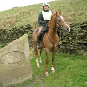 Townley Loop