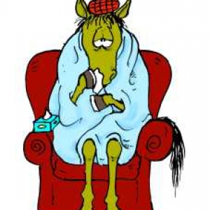 sick horse cartoon