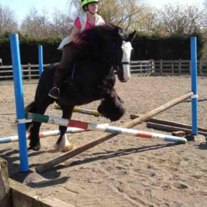 jumping clinic