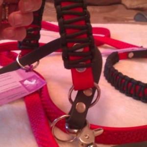 Scawbrig bridle 3