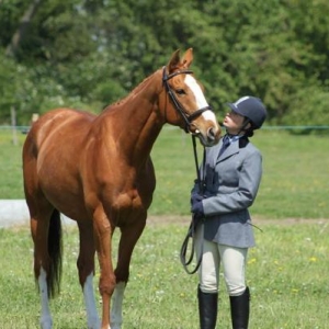 Albi   Rainbow shows June 13