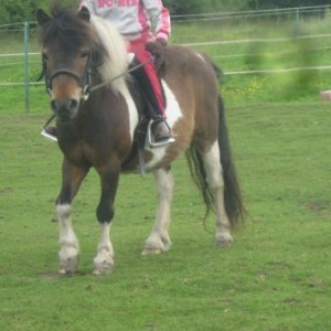 emma and acorn -