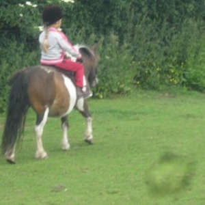 emma and Acorn