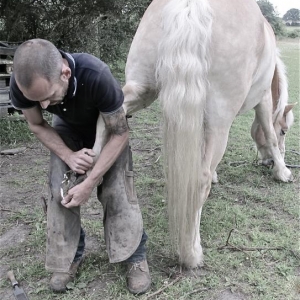 Do what you like with my back feet  -  just let me get on with my eating