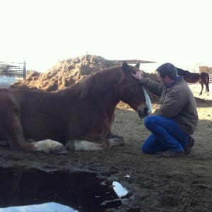 This is Yogi. I worked with him for a few hours and this is the bond we built.