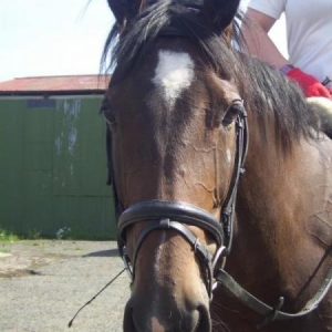 First day I met her