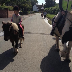3 on a hack!