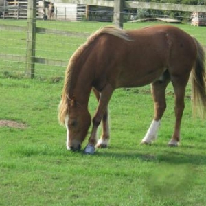 Charlie 

back out again