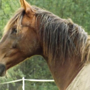 DSCF0059