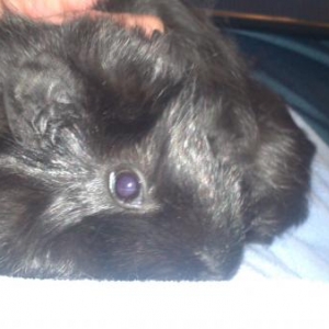 Truffles 24 02 14 066