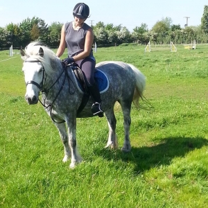 Jess, Lunan's new rider playing in the field with him