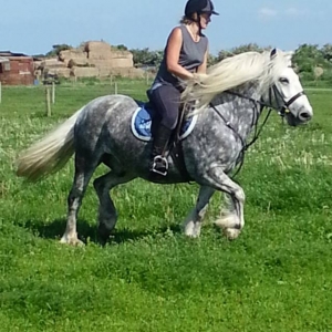 handsome boy with Jess
