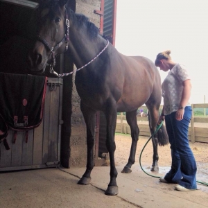 Being an excellent patient