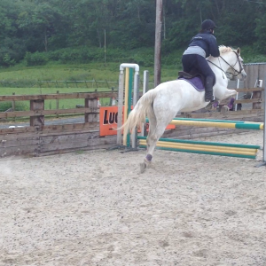 Lucy and i jump training.