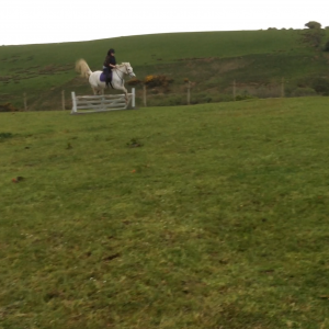 Lucy and i cross country practice in the field.