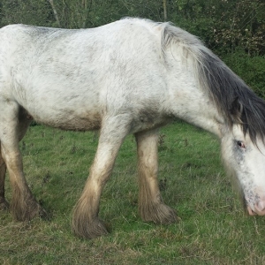 New boy after arrival