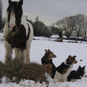 Resize Chunky for signature.jpg