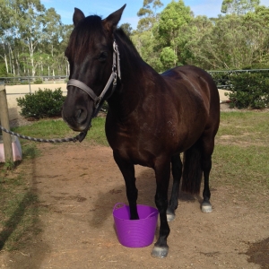 Oi! Human! If I can put my foot in it, it's empty!