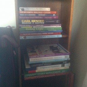 My horsey bookshelf