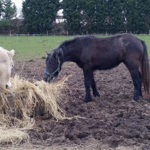 Glennie first day at ours