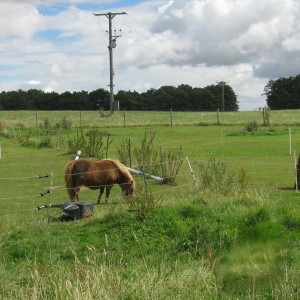 Charlie and pals! ist day back